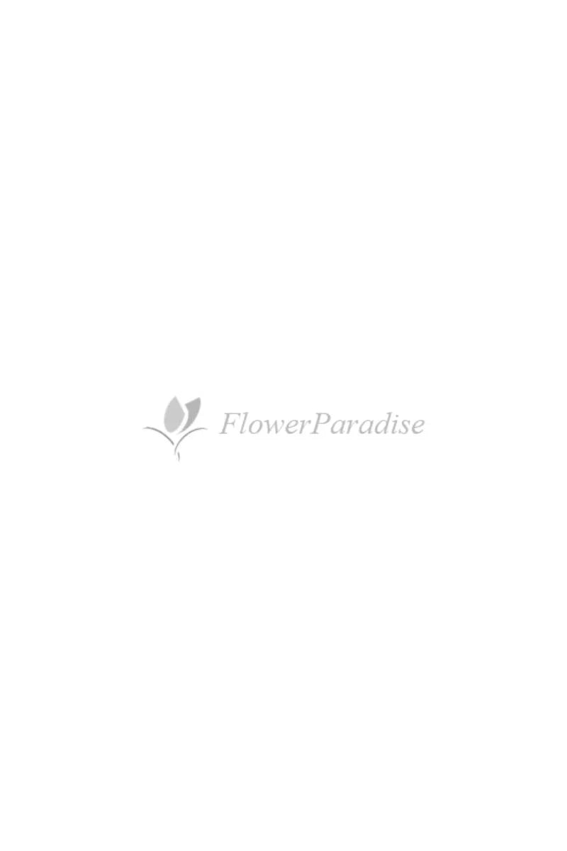 Wedding Car Decoration